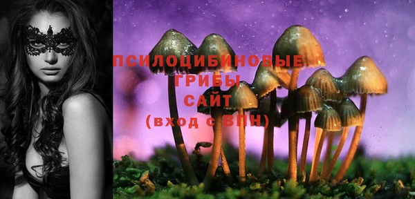стаф Алексеевка