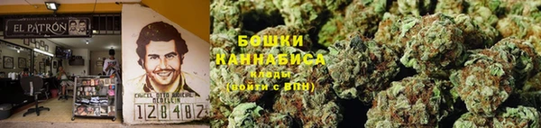 молекула духа Михайловск